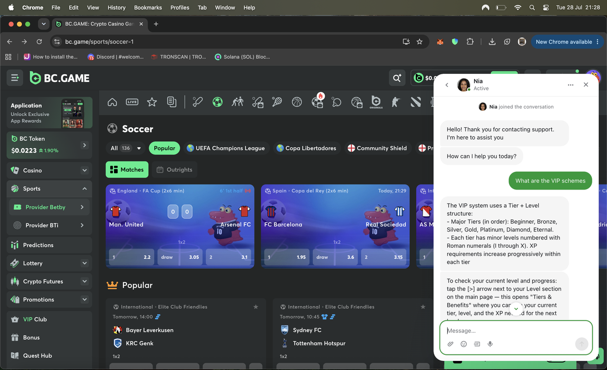 BC.Game live chat where agent Nia explains the VIP tier and level structure, listing major tiers Beginner Bronze Silver Gold Platinum Diamond Eternal with Roman numeral levels one through ten